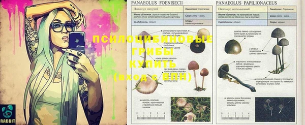 кокс Абинск